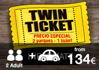 TWIN TICKET